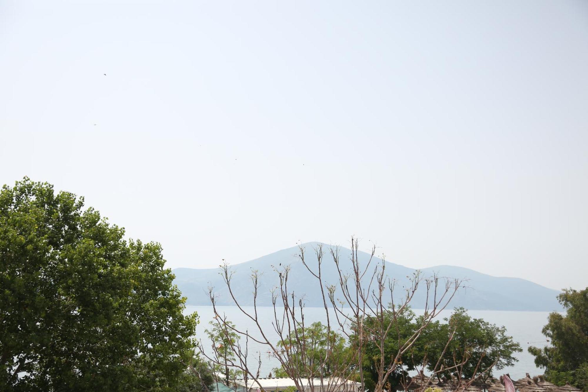 B&B Champagne, Vlore Bay Radhimë Dış mekan fotoğraf